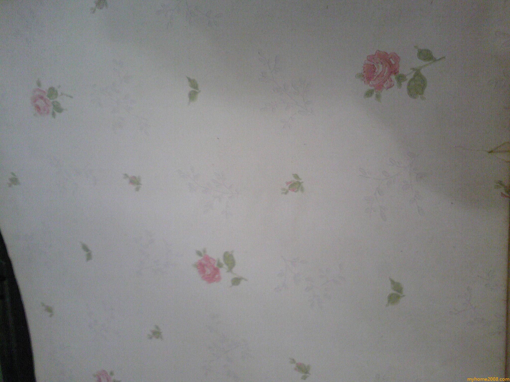 Image206.jpg