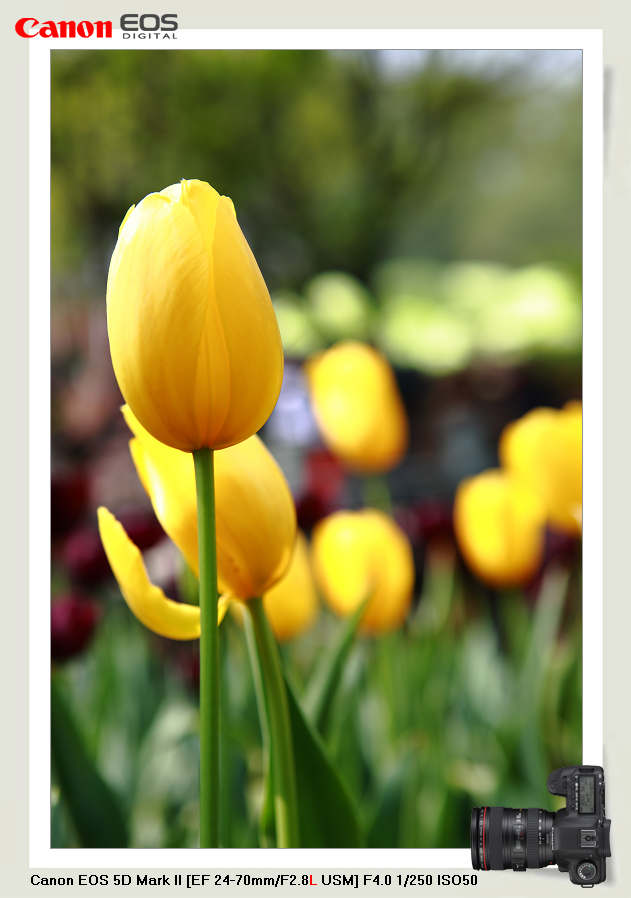 IMG_2800_1.jpg