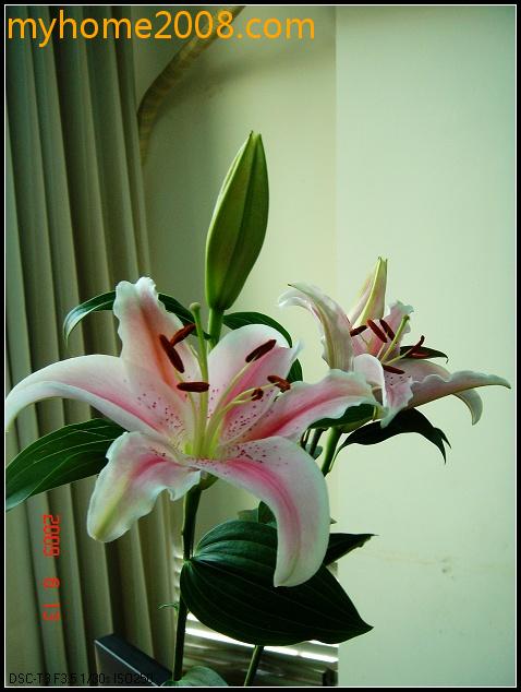 DSC04757.jpg