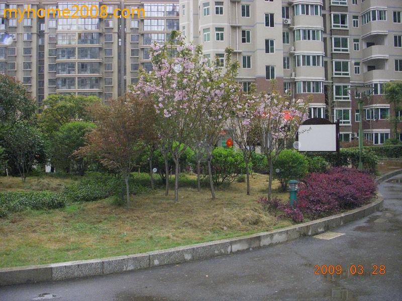 DSCN1259.JPG
