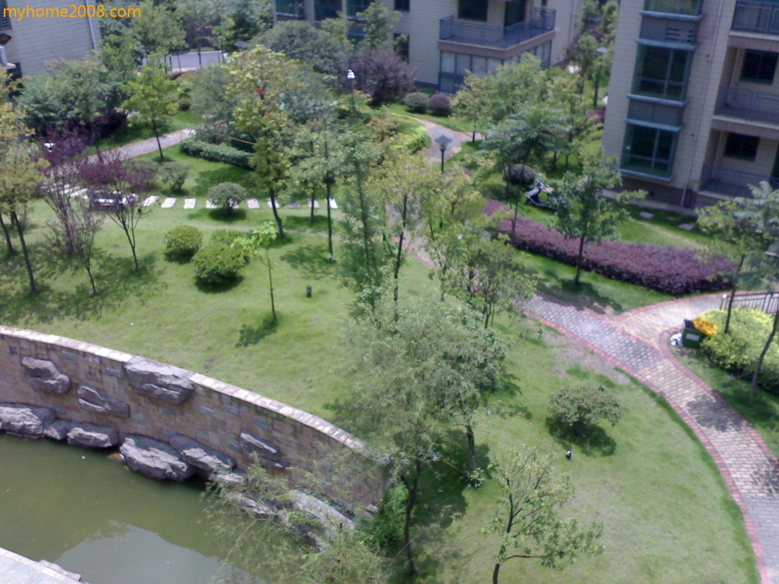 20090626415.jpg