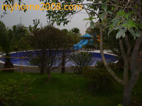 P1000254-4.jpg
