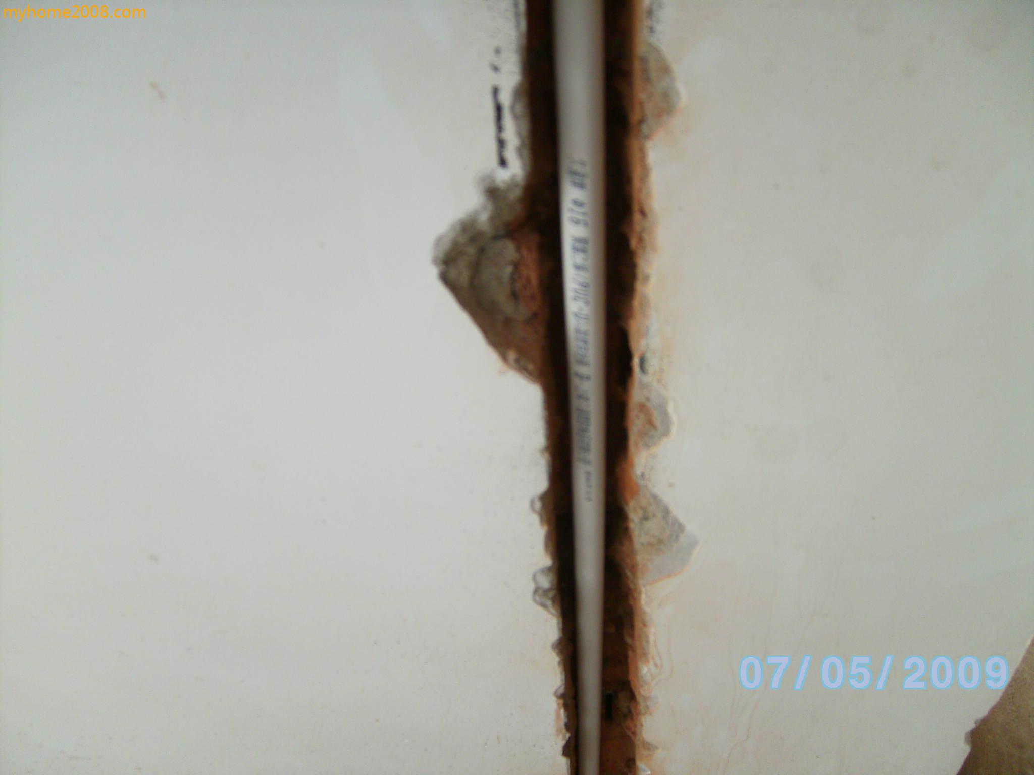 SANY0352.JPG