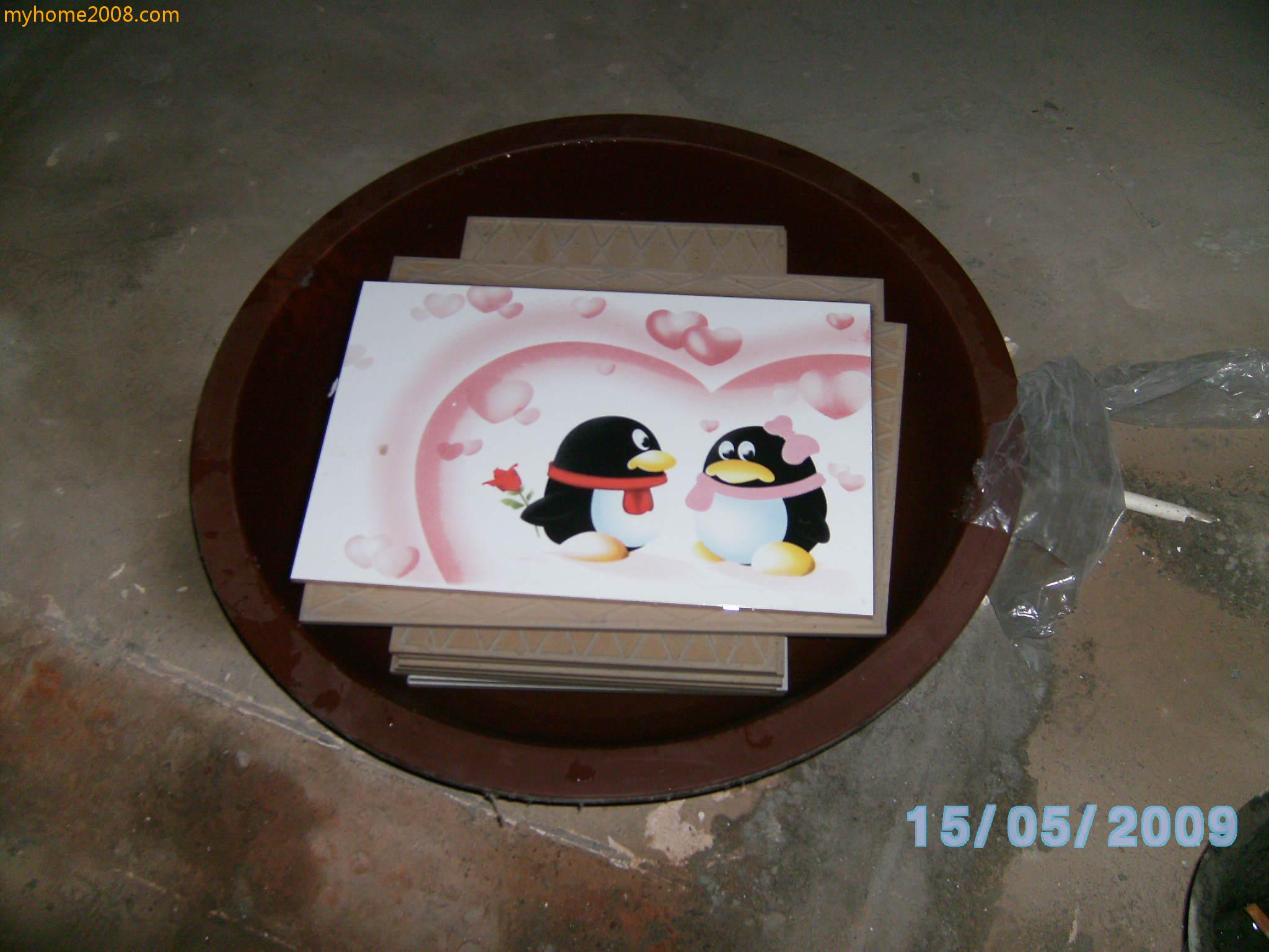 SANY0449.JPG