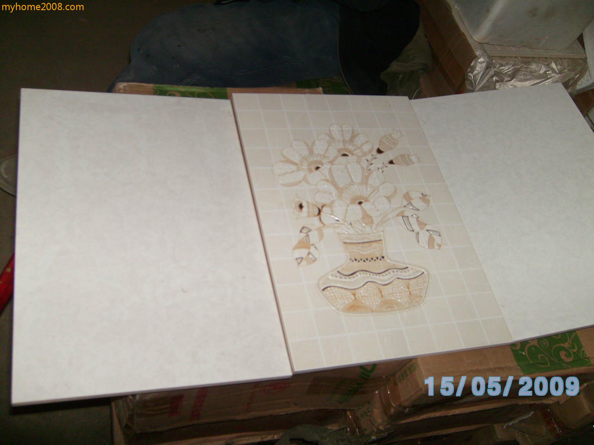 SANY0443.JPG