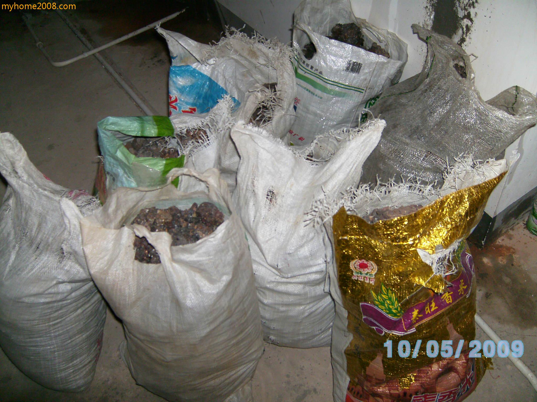 SANY0415.JPG