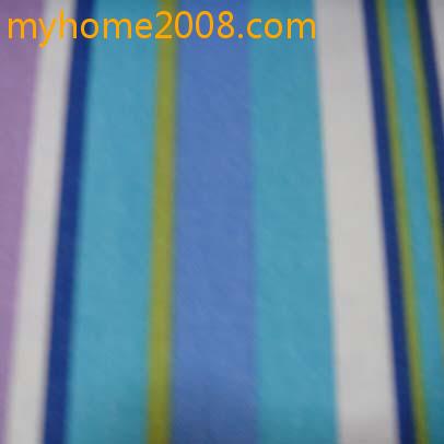 DSC09008.JPG