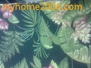 SP_A0176.jpg