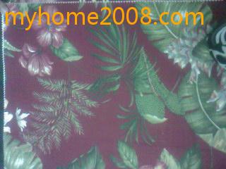 SP_A0175.jpg