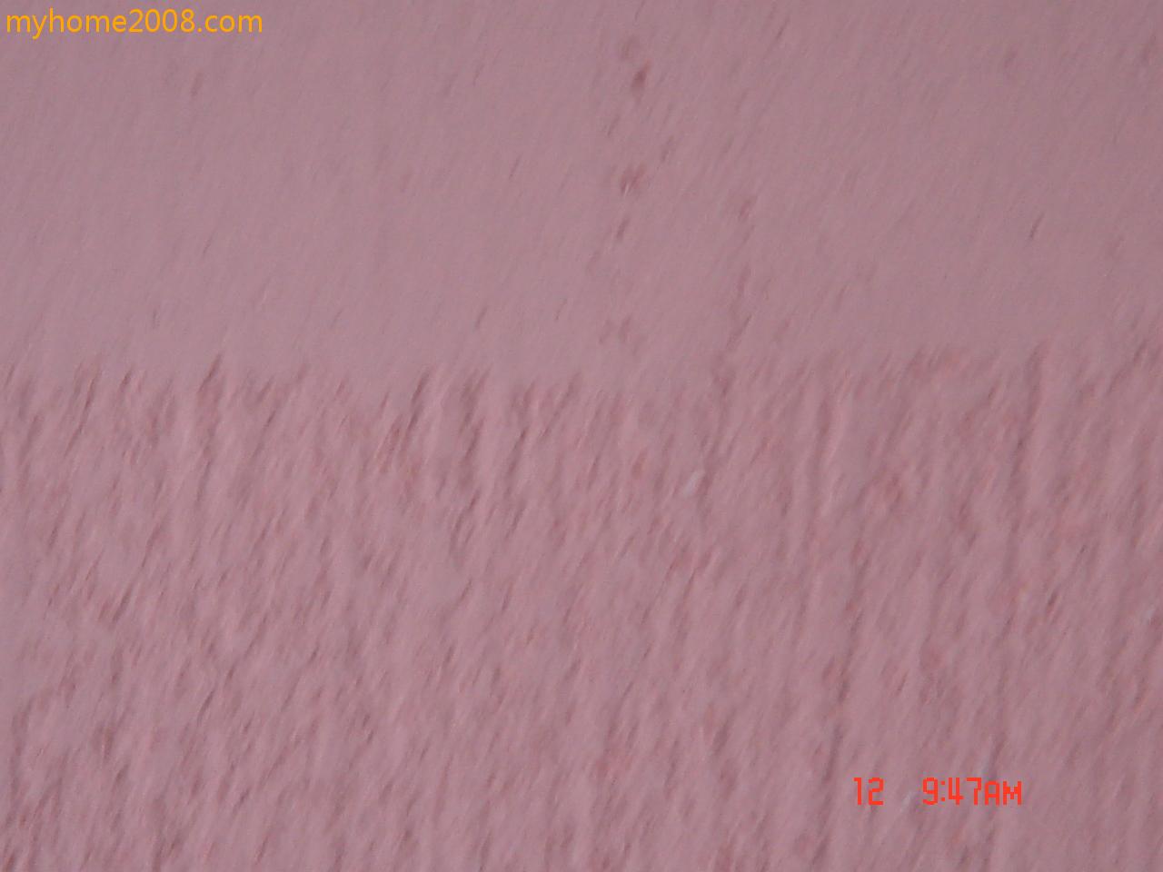 DSC03282.JPG