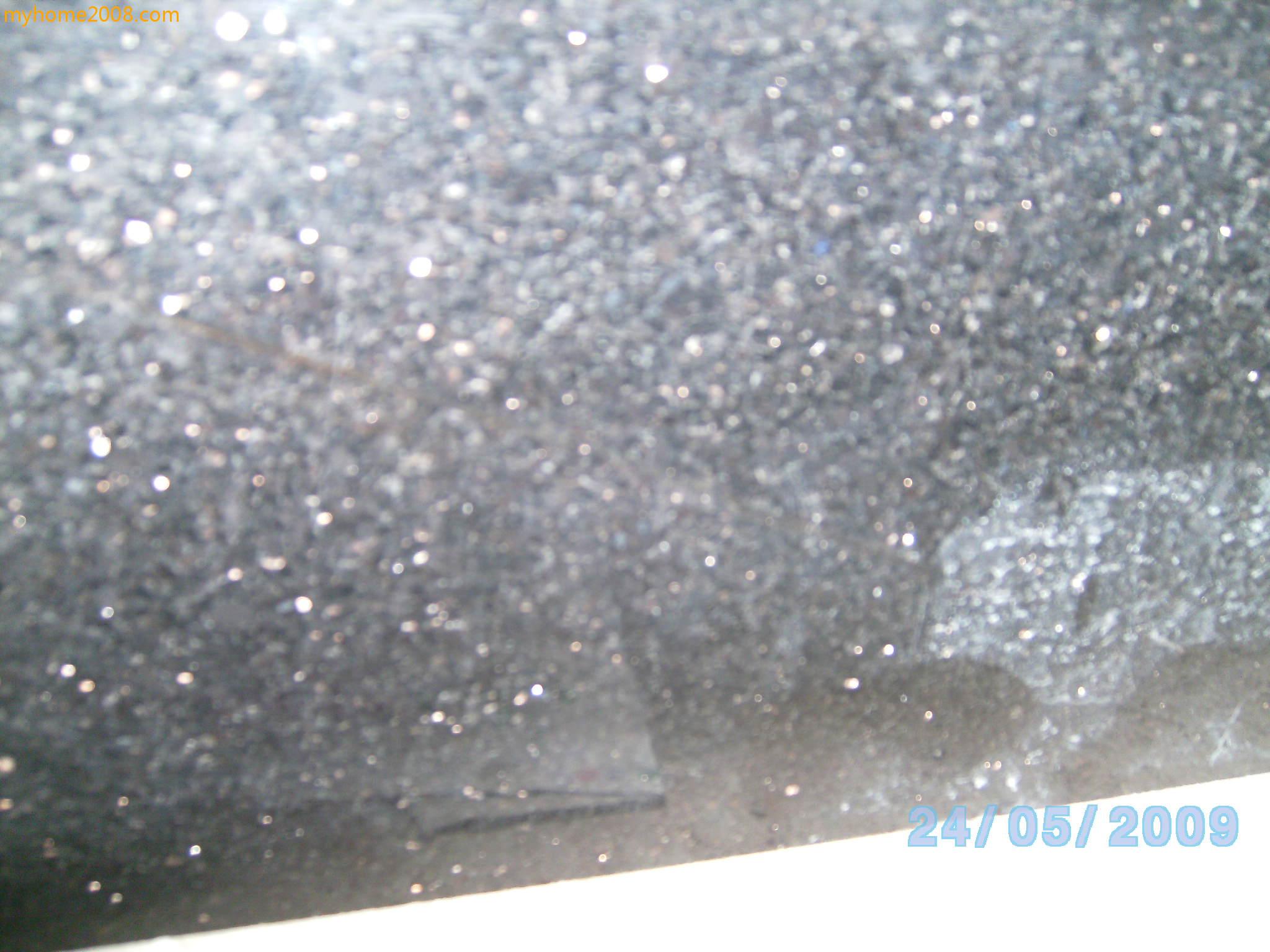 SANY0487.JPG