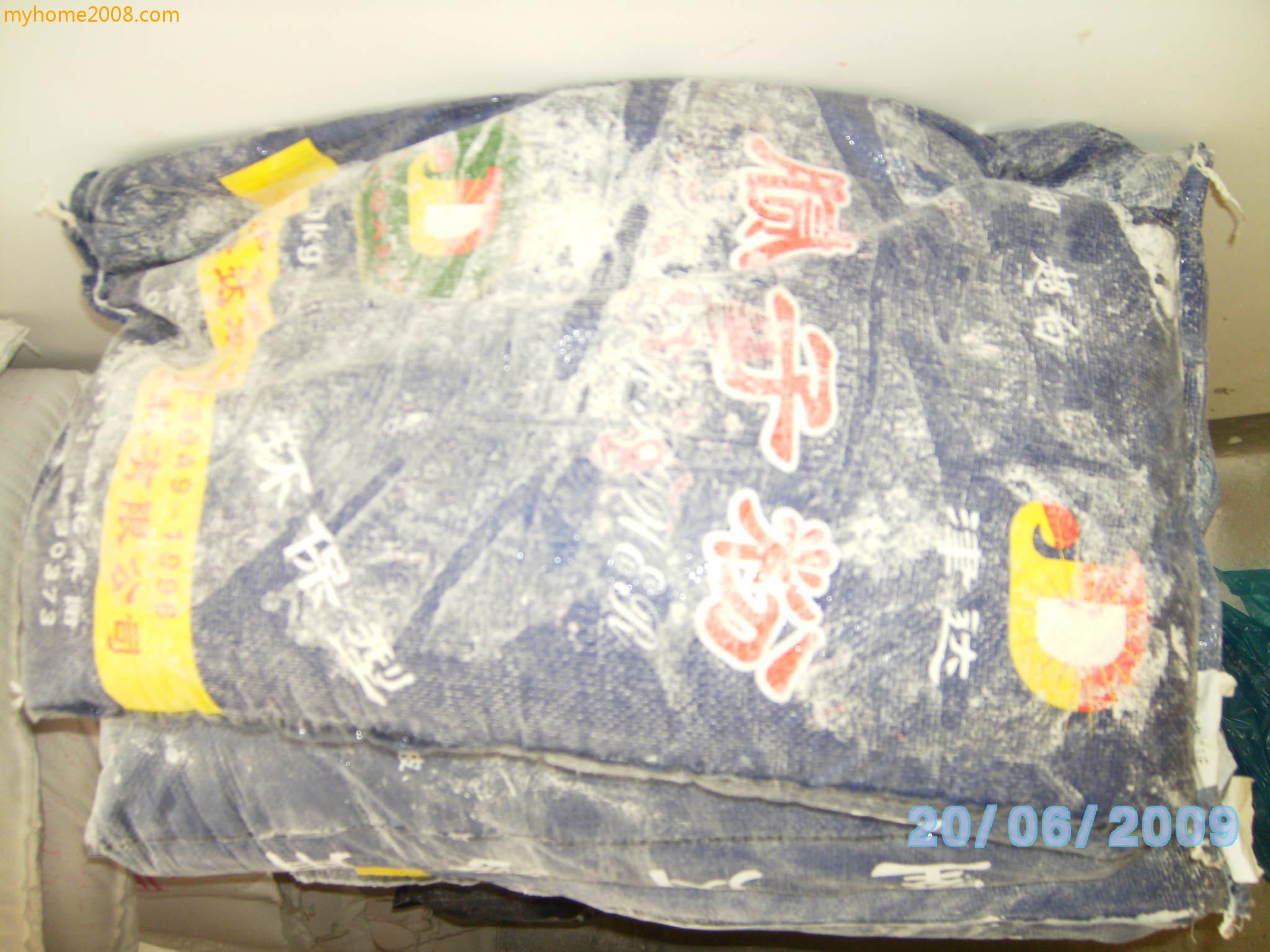 SANY0601.JPG