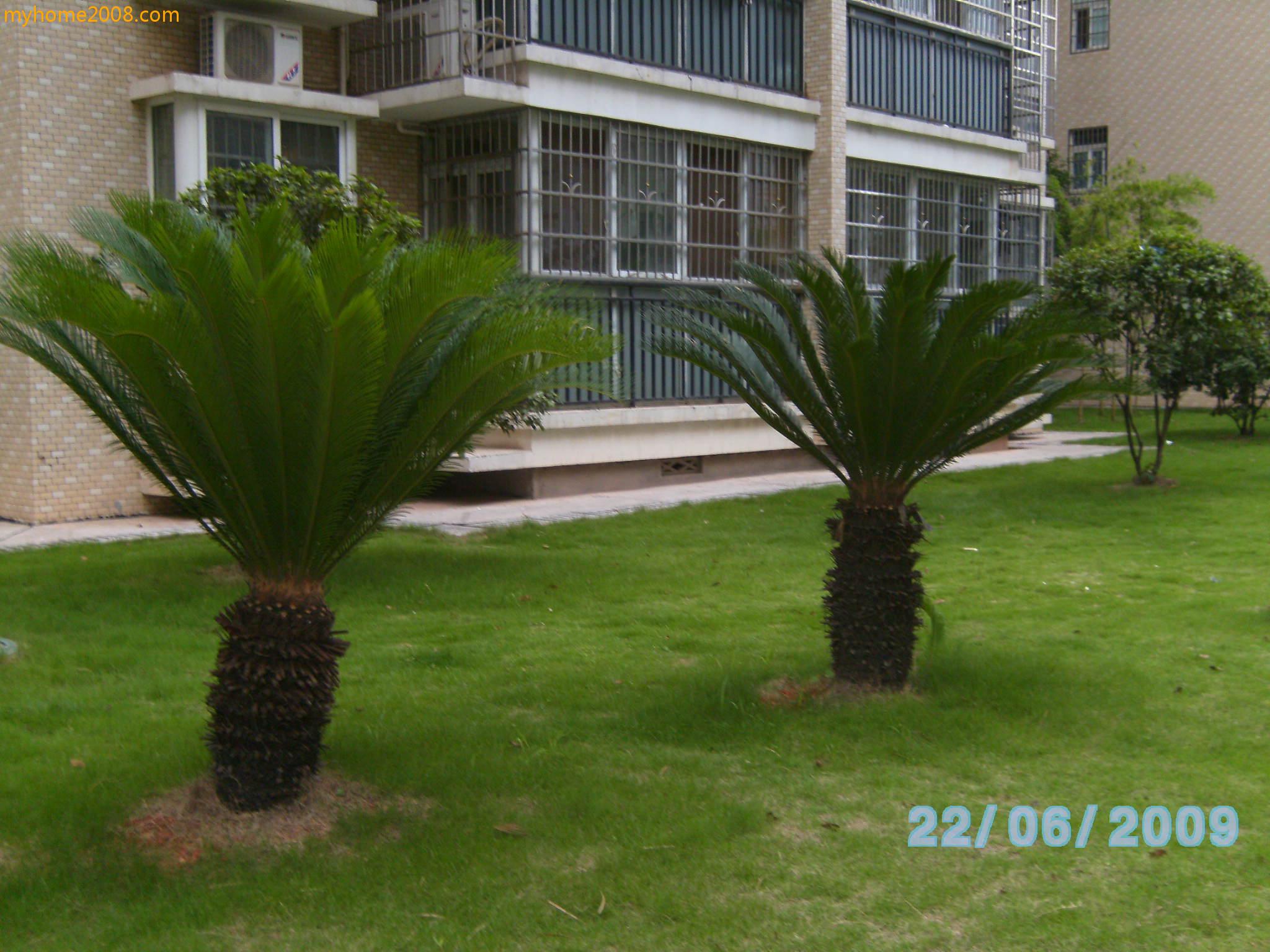 SANY0662.JPG
