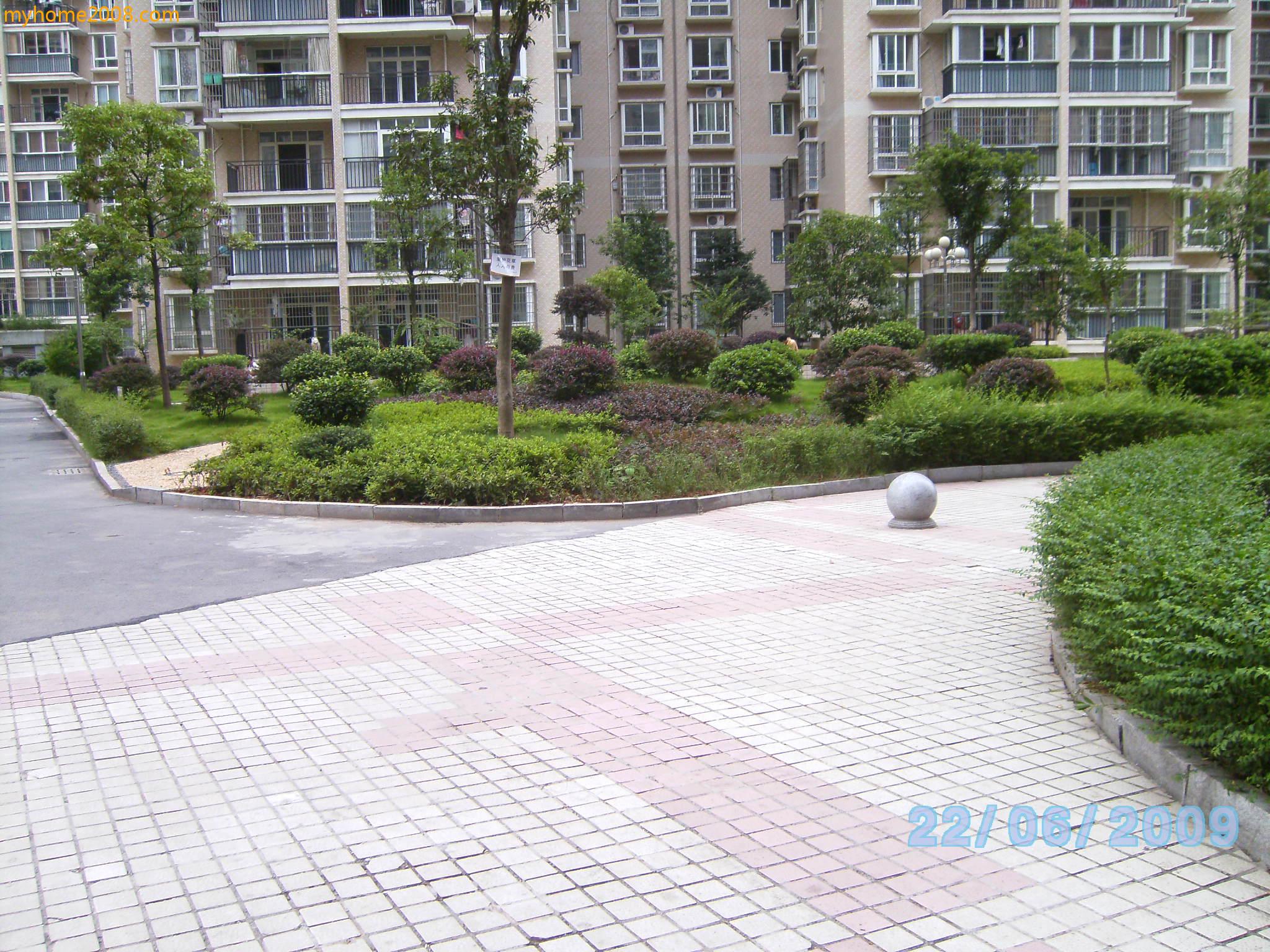 SANY0661.JPG
