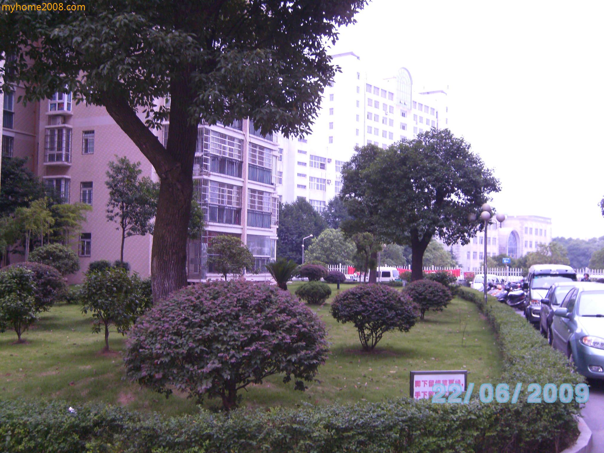 SANY0663.JPG