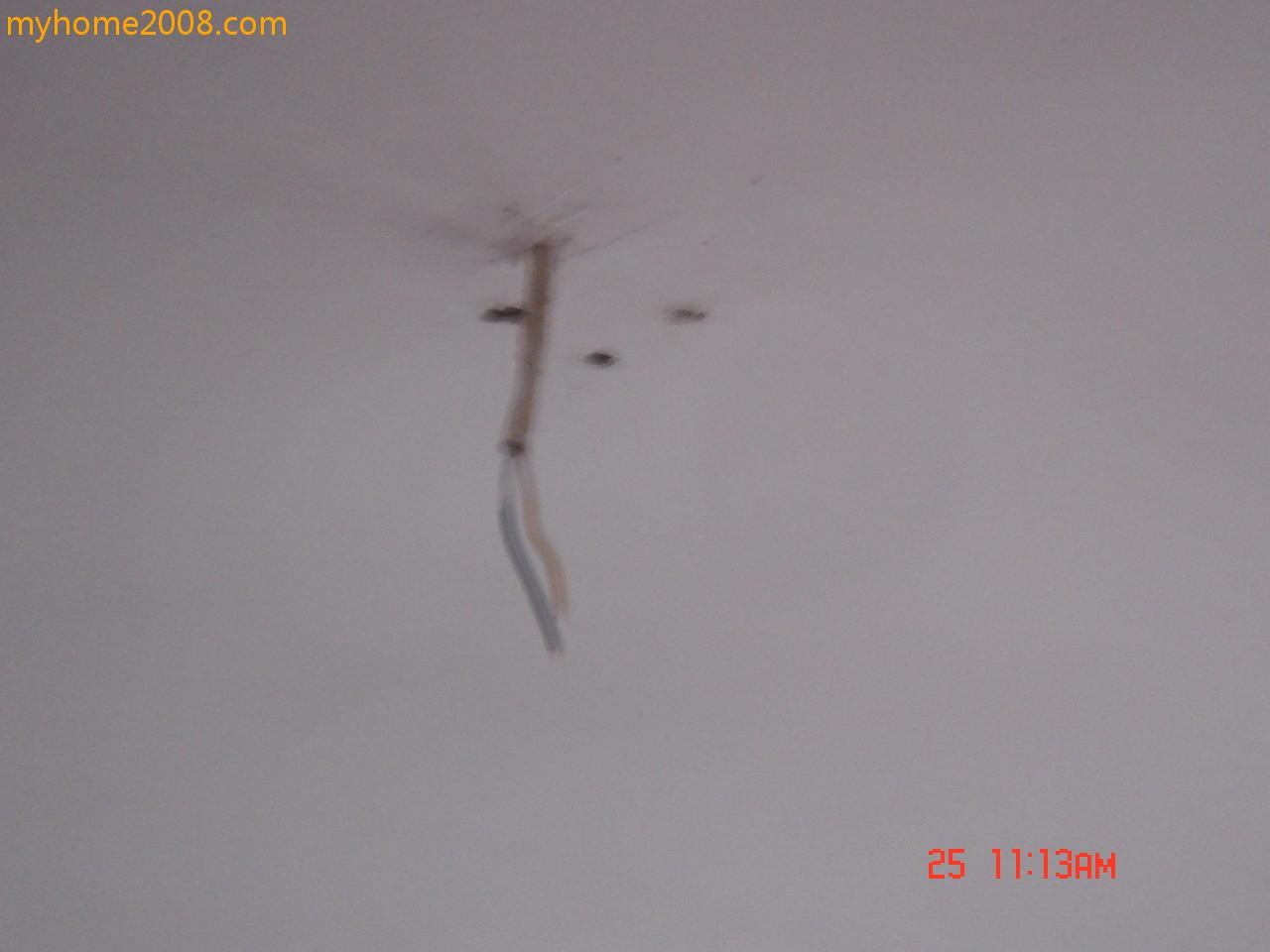 DSC03350.JPG