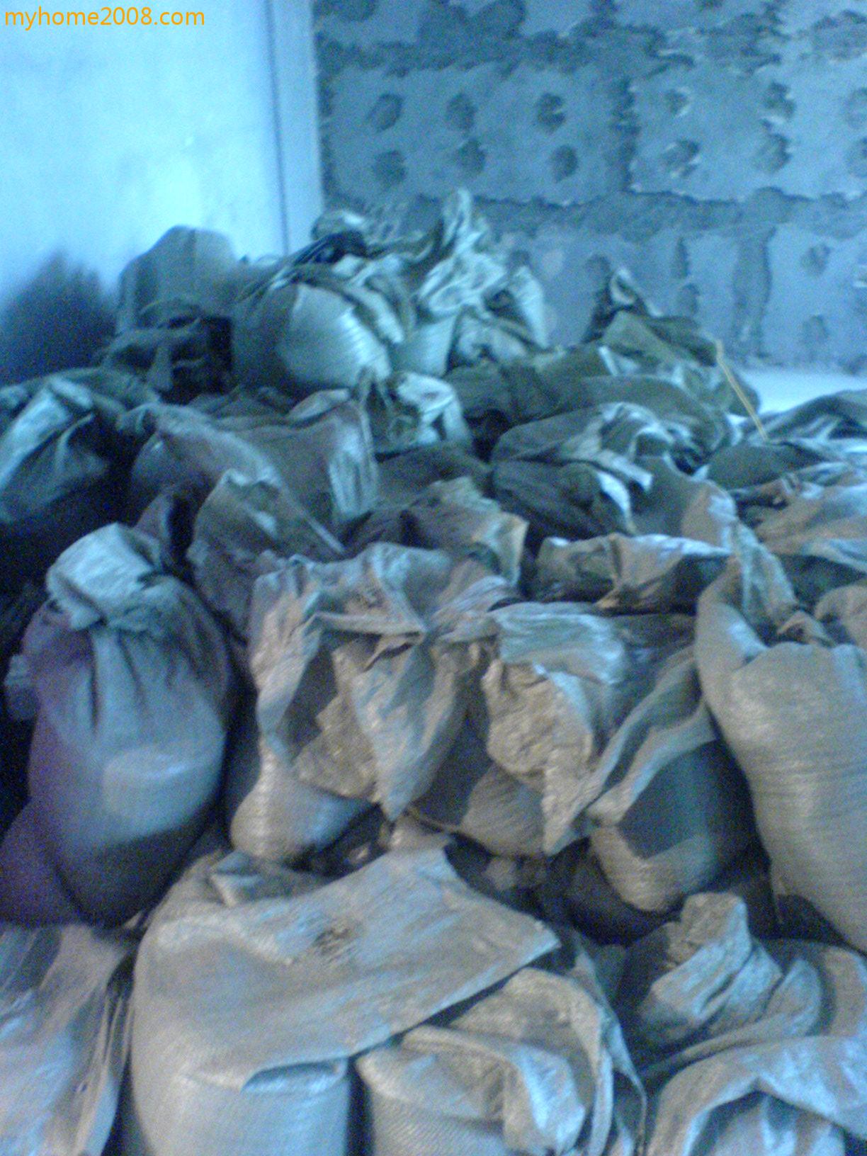 ת DSC01360.JPG