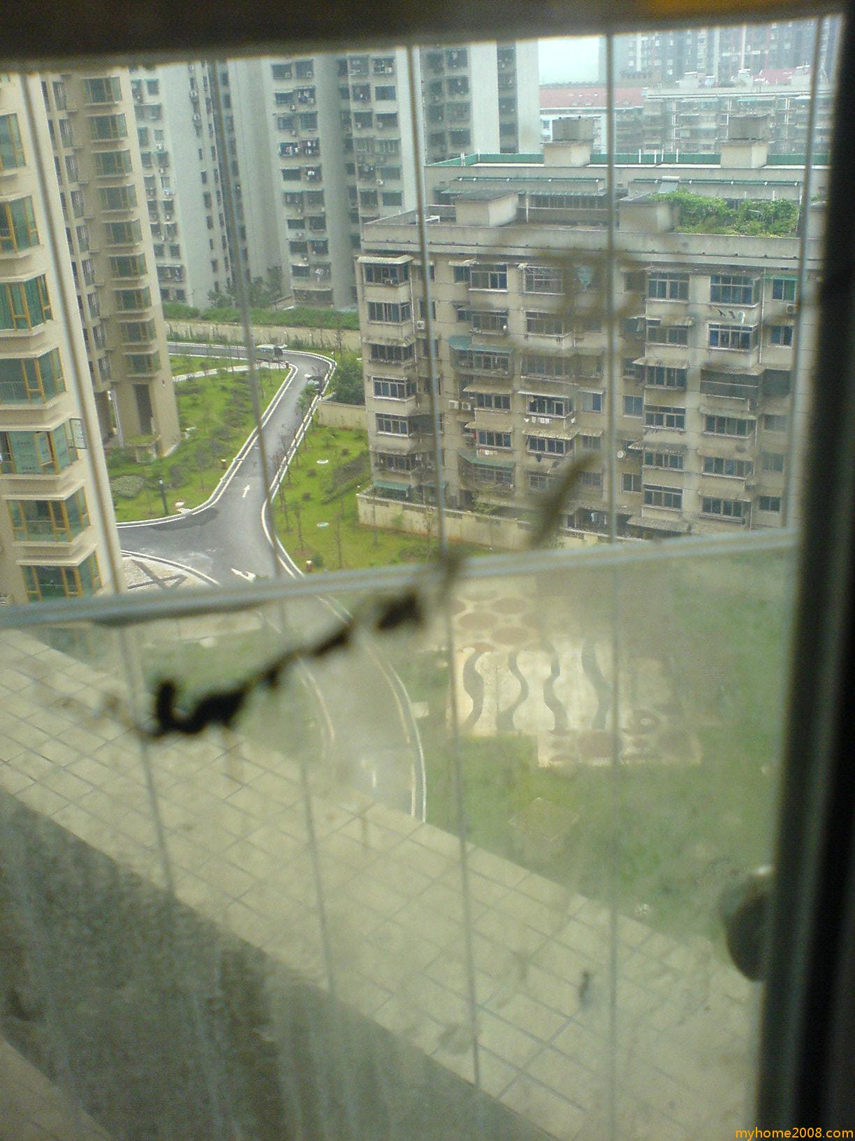 ת DSC01489.JPG