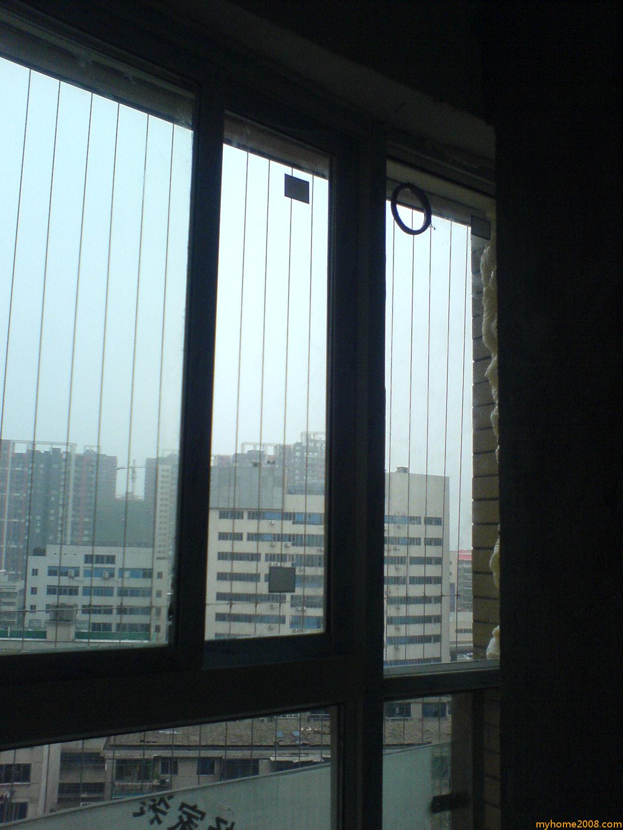 ת DSC01491.JPG