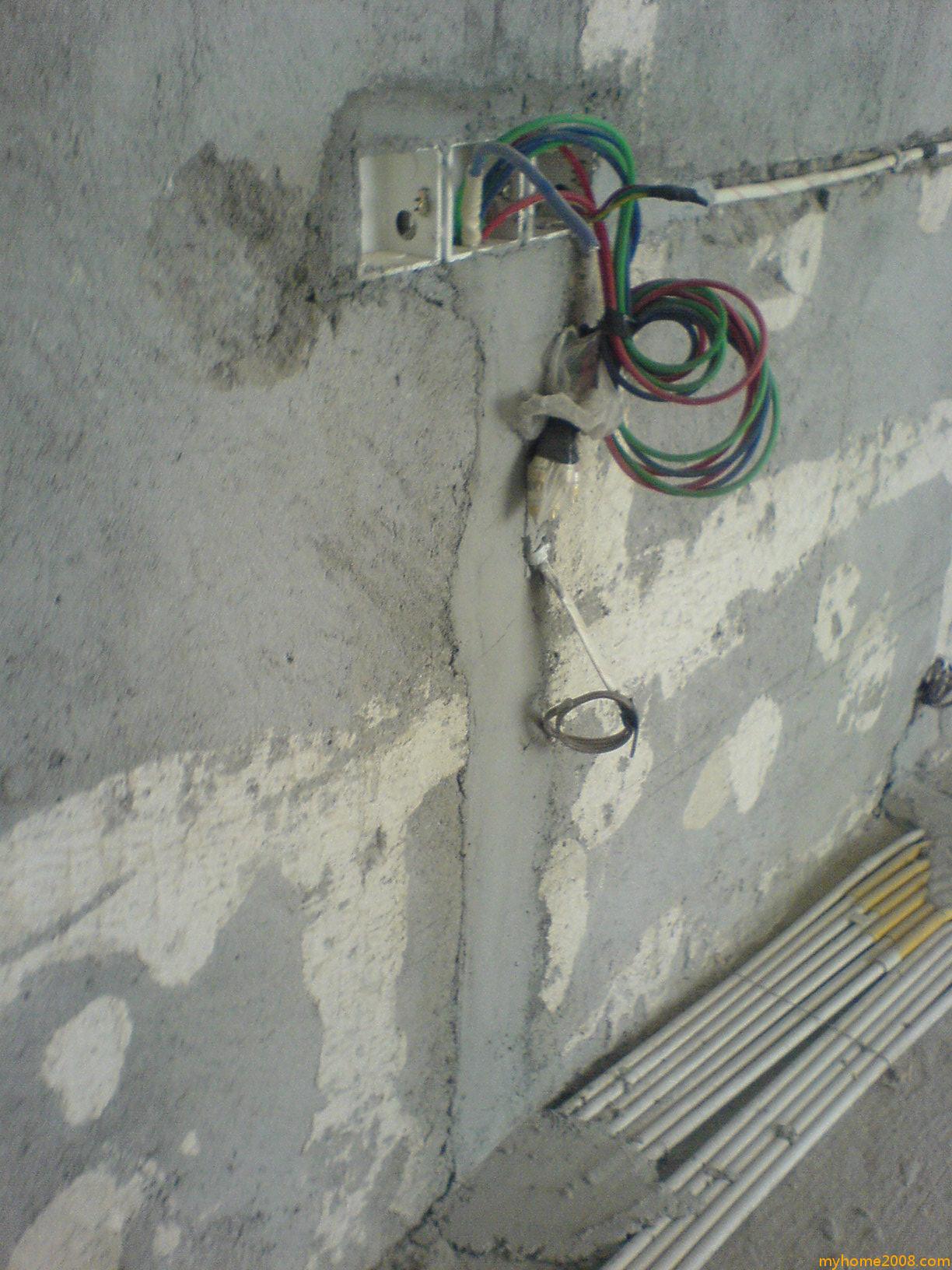 ת DSC09384.JPG