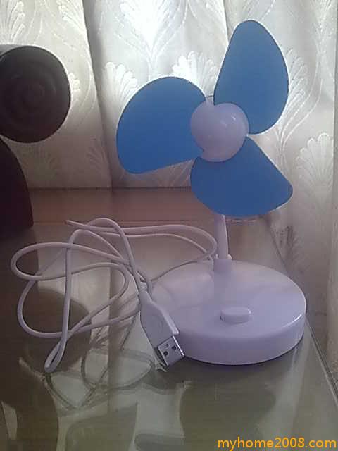 20090811507.jpg