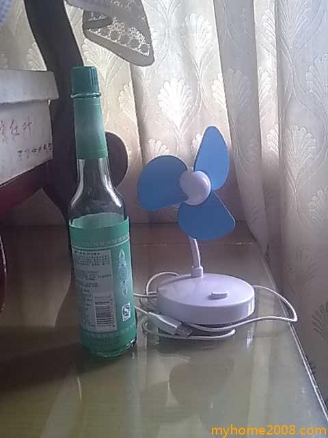 20090811508.jpg