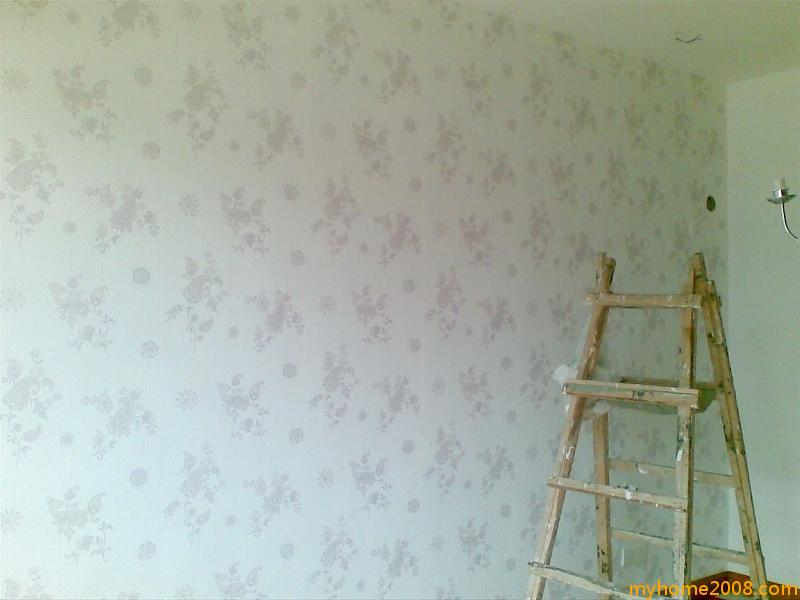 20090823(001).jpg