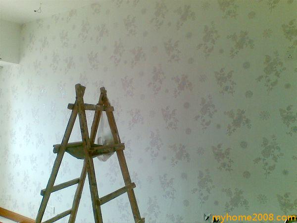 20090823.jpg