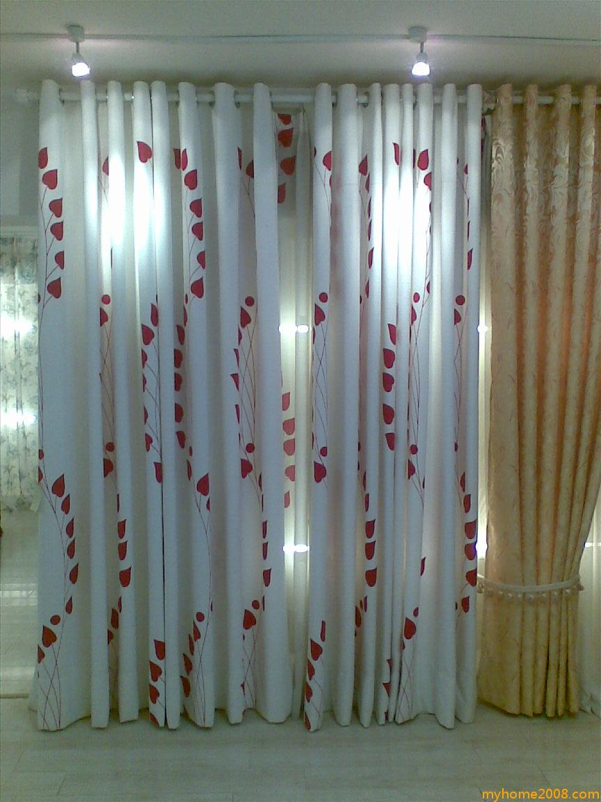 20090825(008).jpg