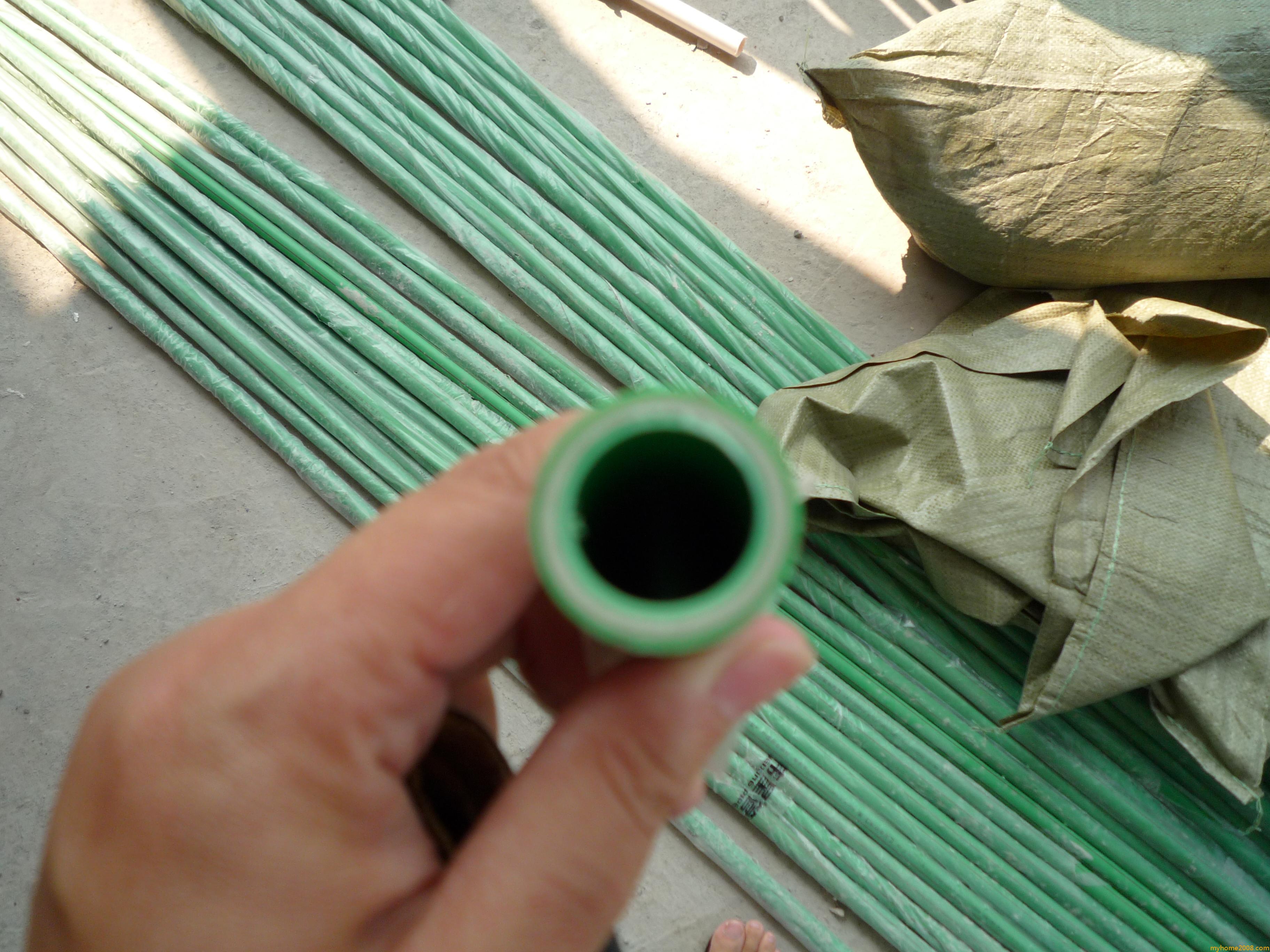 P1000045.JPG