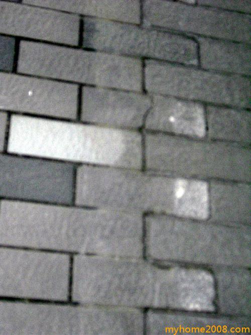 CIMG0303.JPG