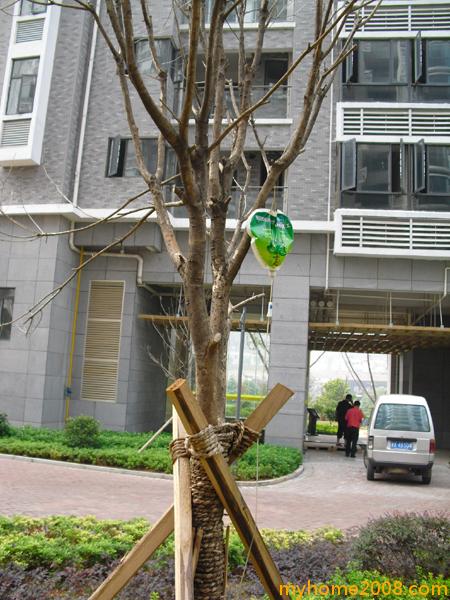 CIMG0304.JPG