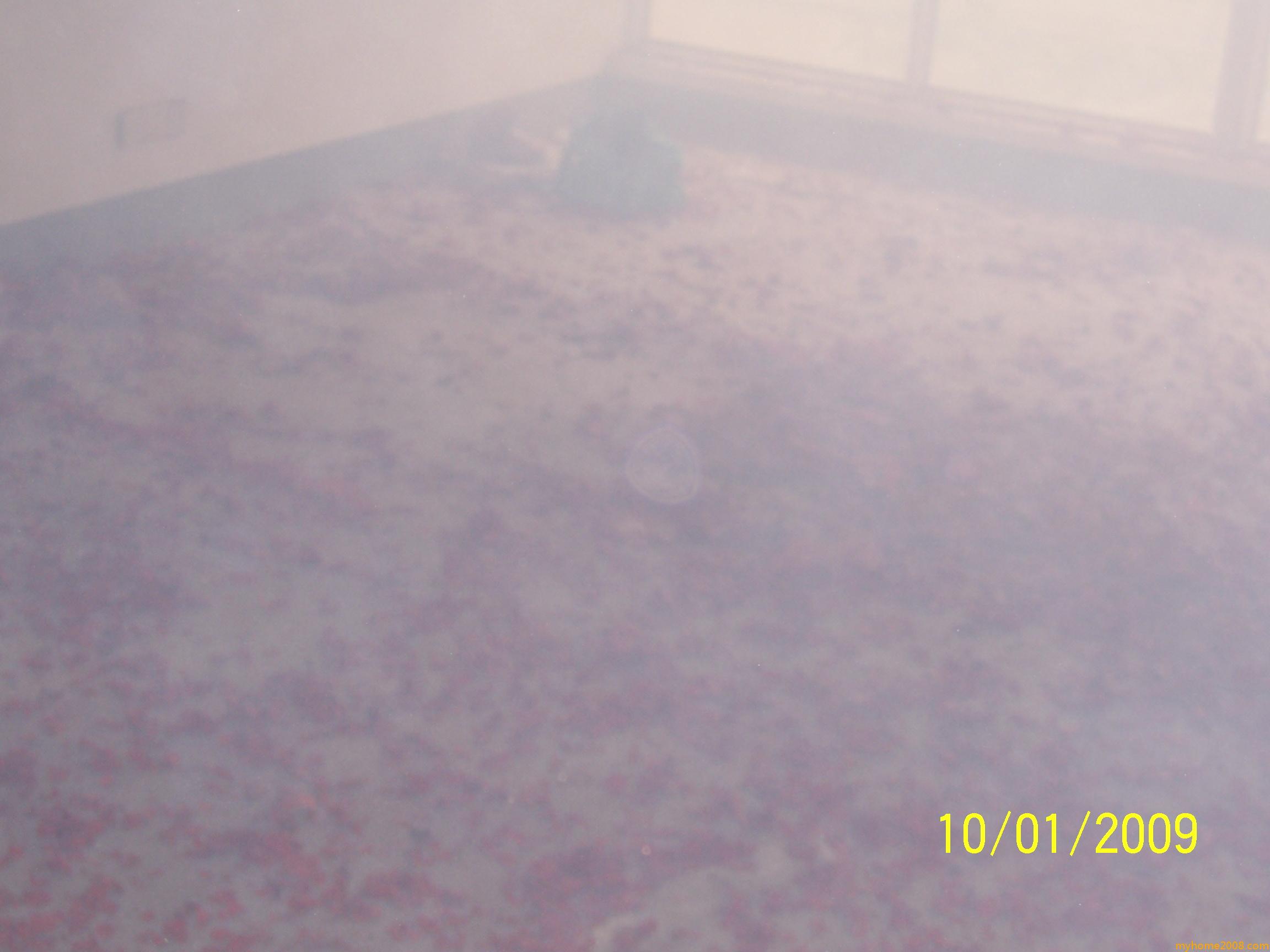 100_6355.jpg