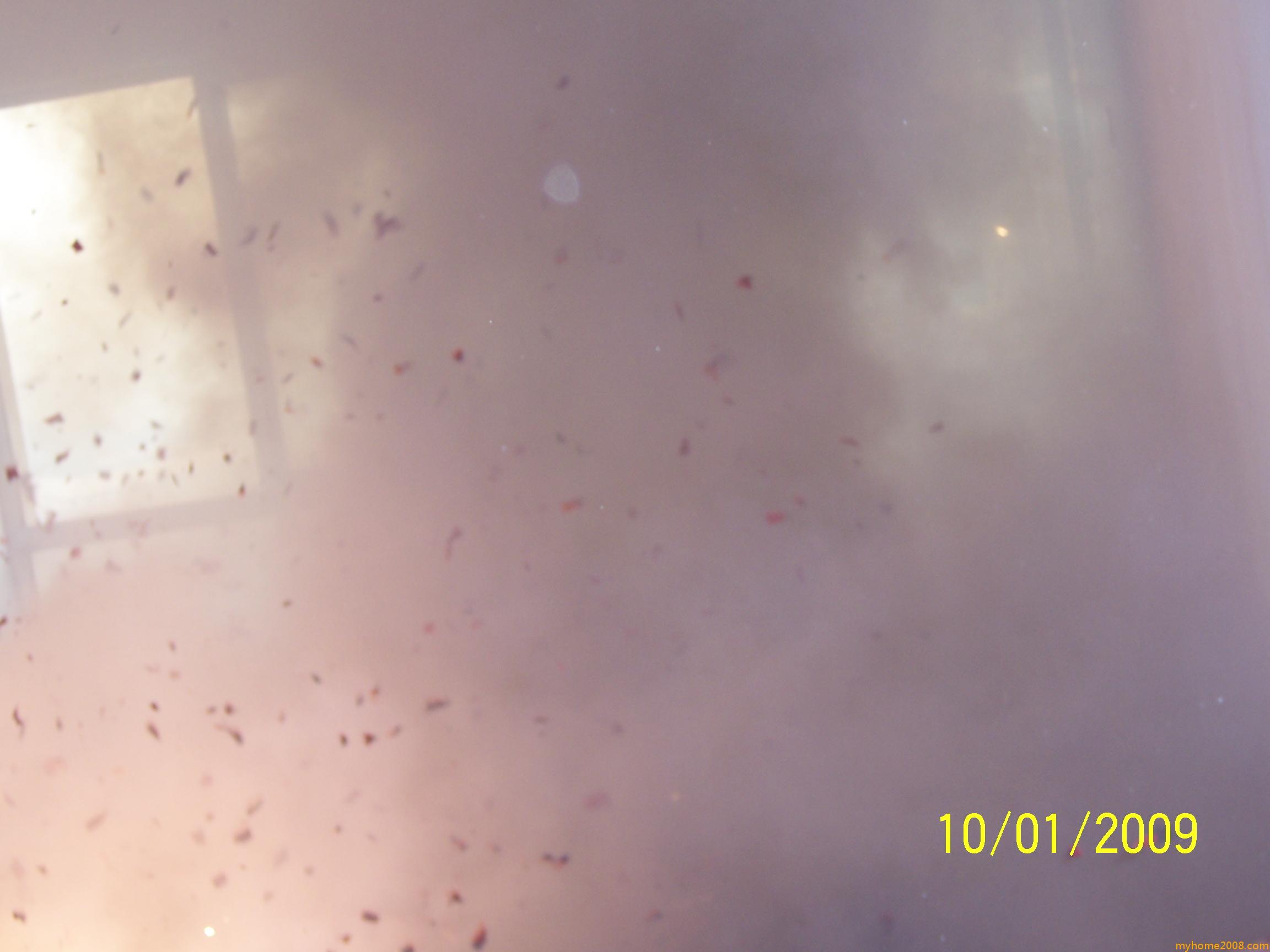 100_6351.jpg