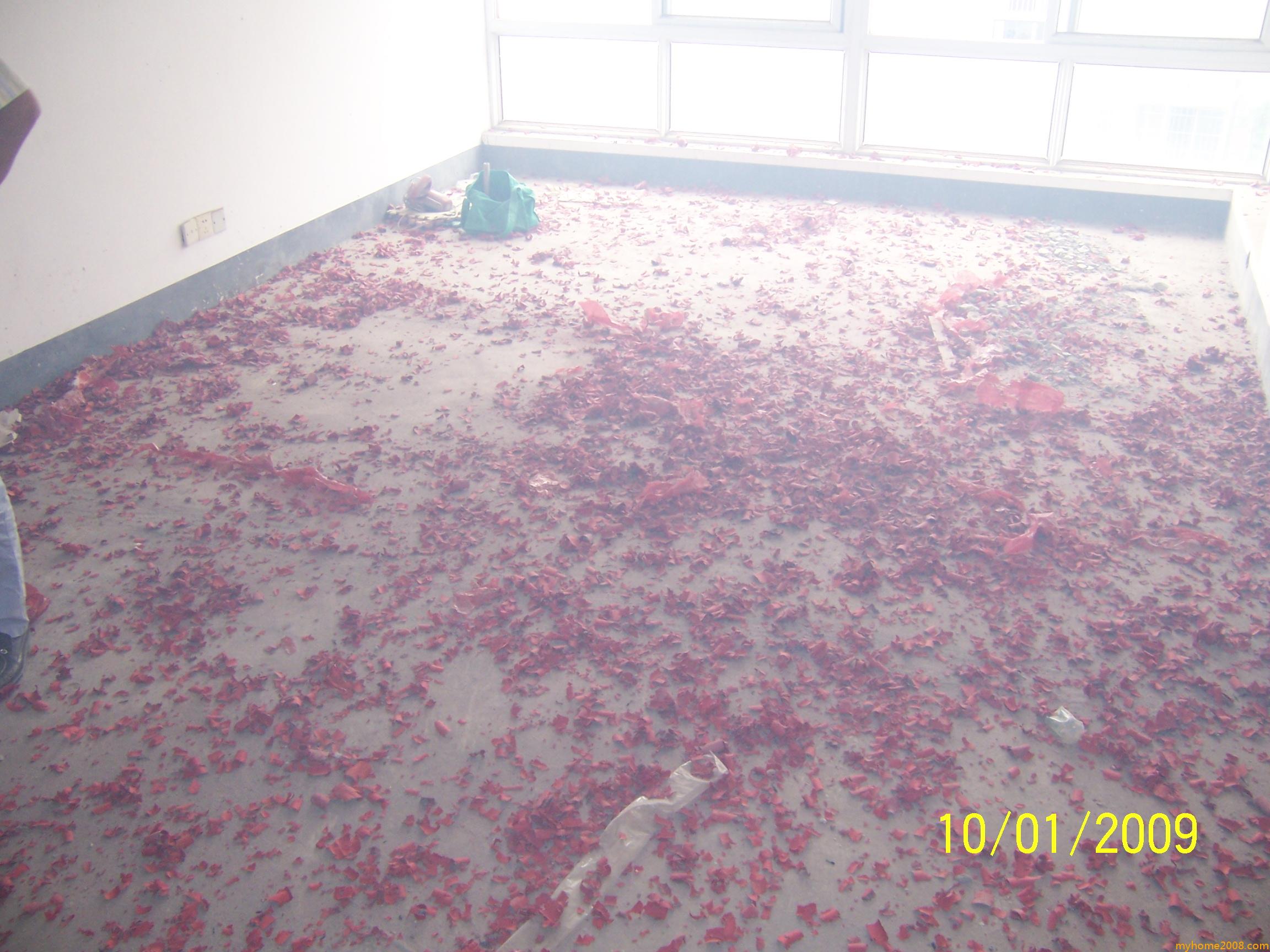 100_6357.jpg