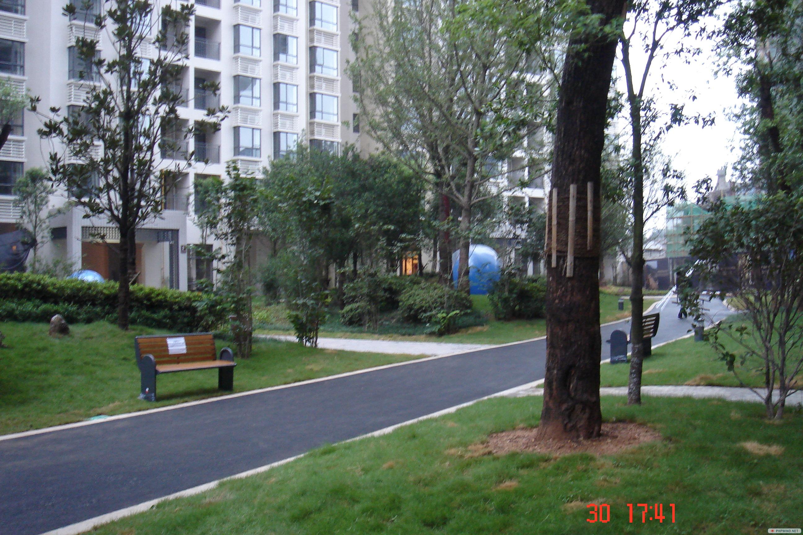 DSC06137.jpg