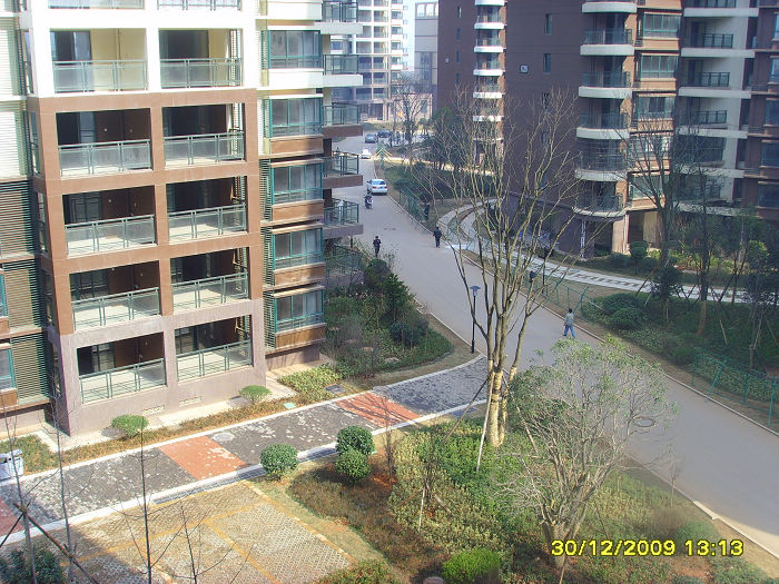 SSL20125.jpg