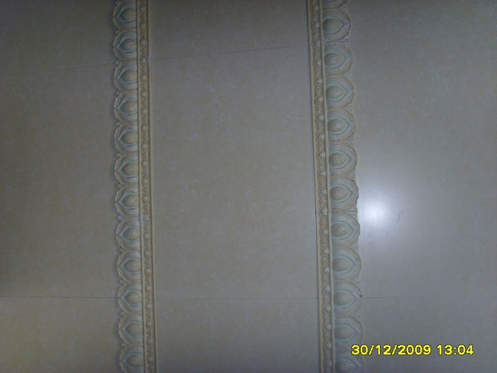 SSL20091.jpg