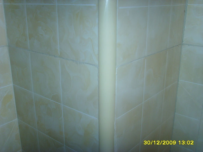 SSL20074.jpg