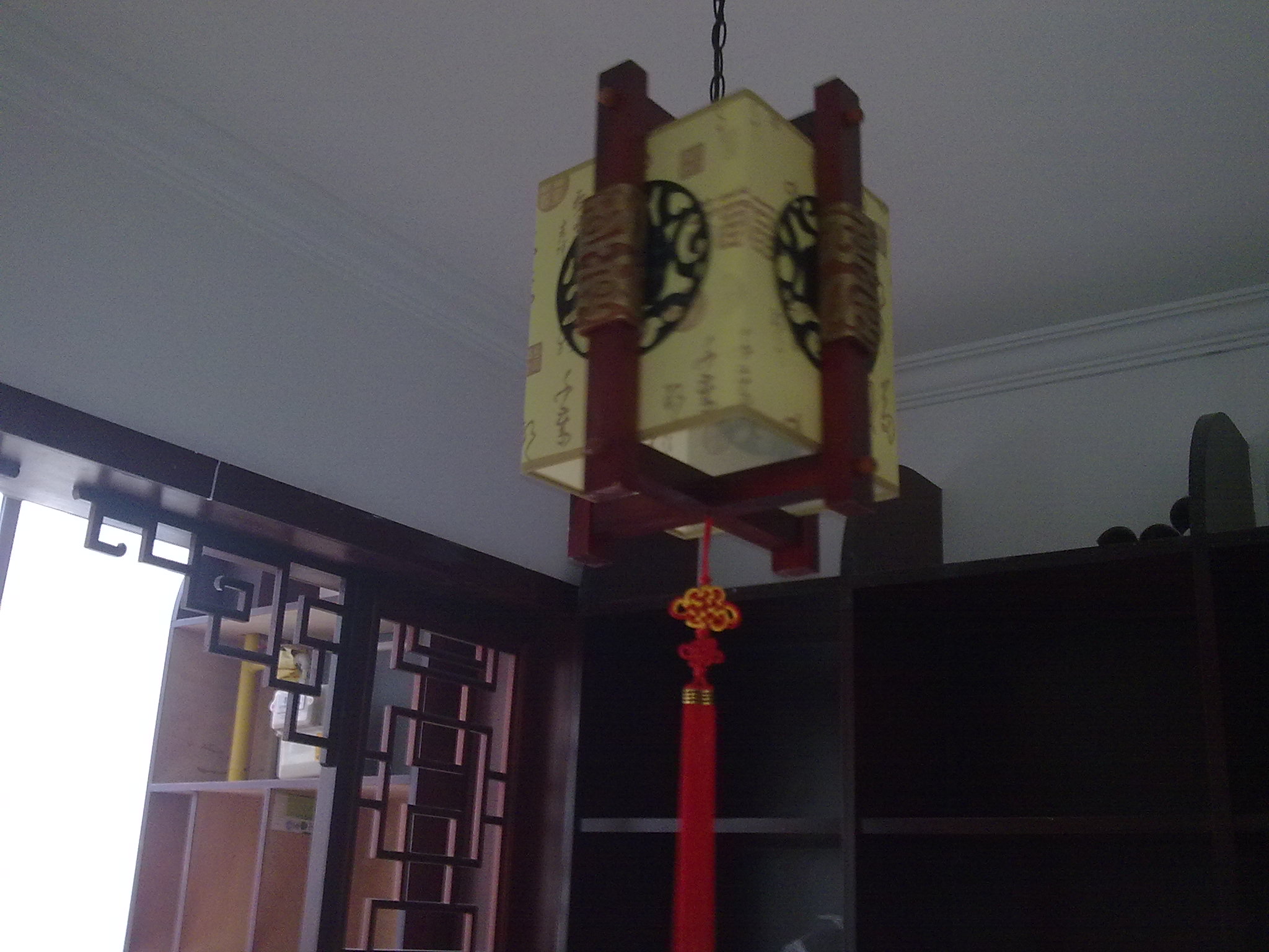 20100108494.jpg