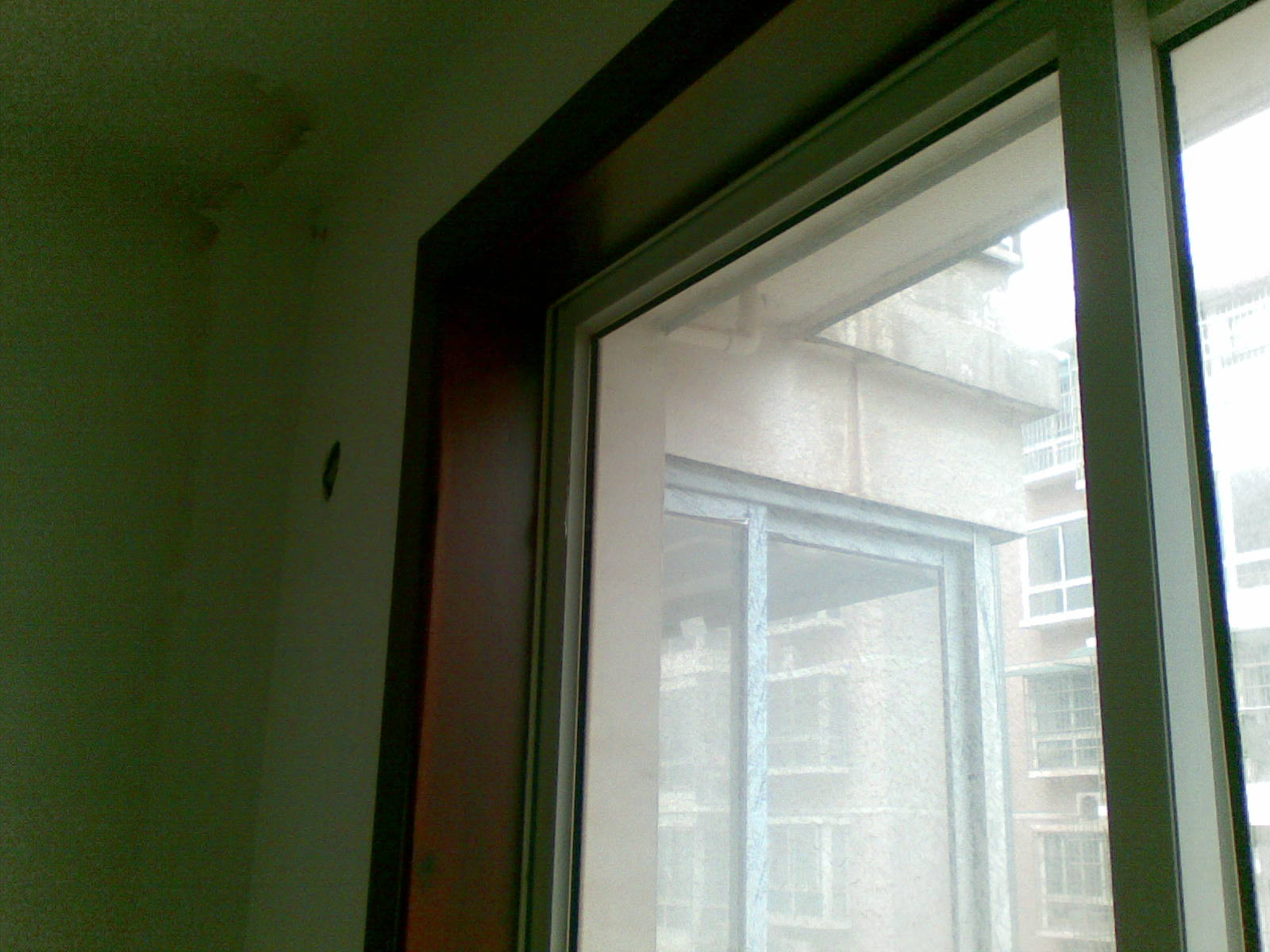 20100115(024).jpg