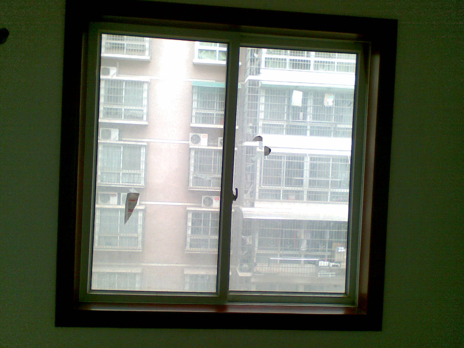 20100115(022).jpg