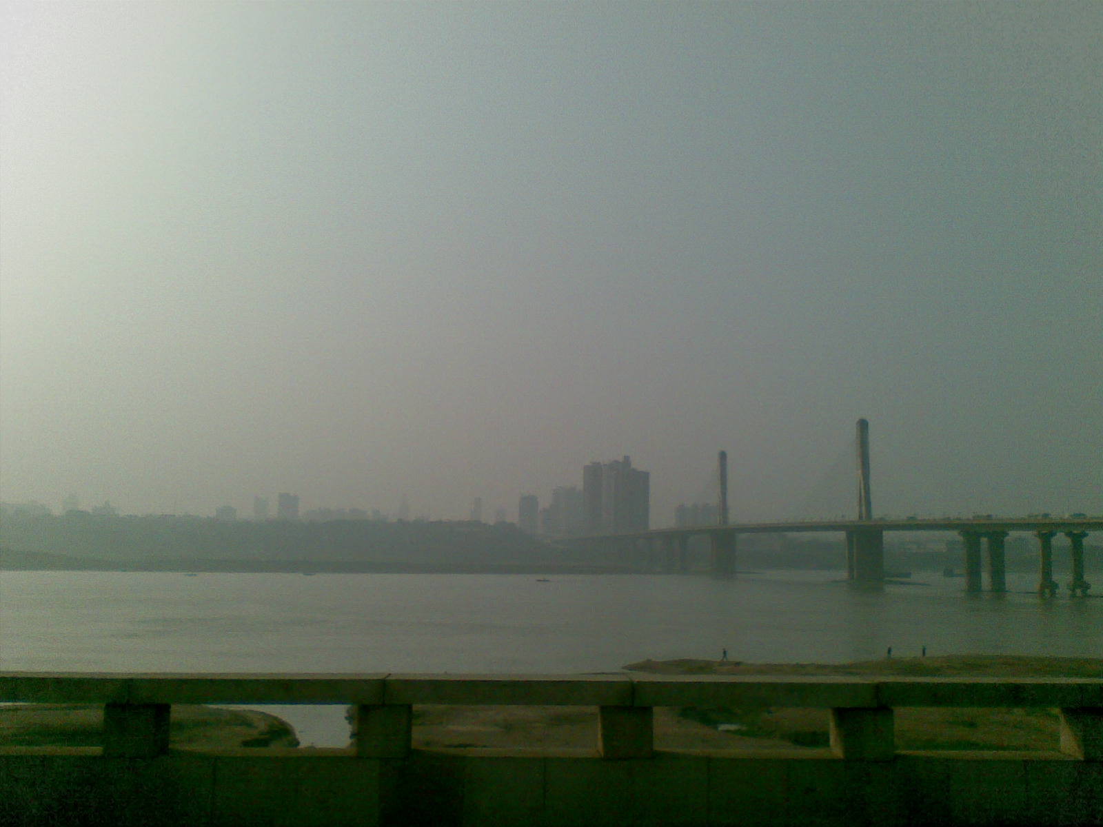20100117(043).jpg