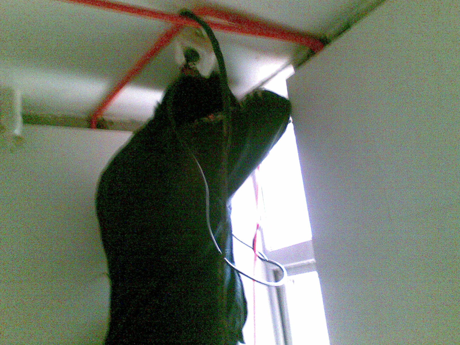 20100129(001).jpg