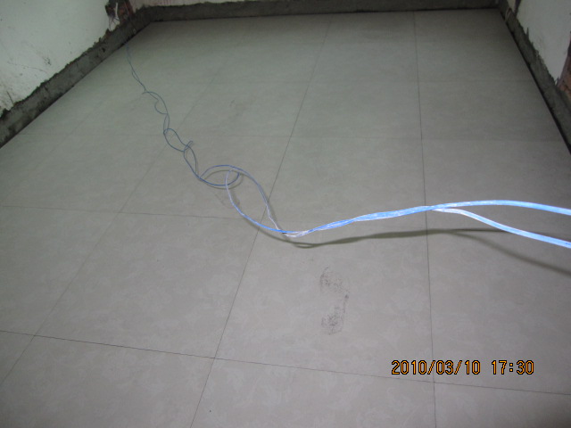 IMG_8275.jpg