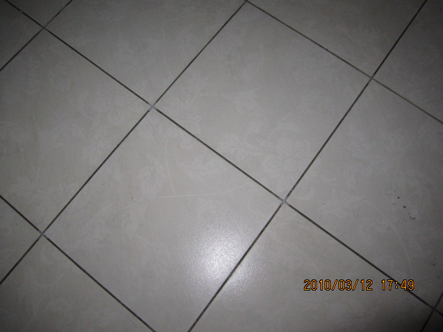 Ƭ 579.jpg