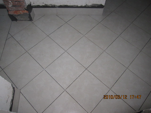 Ƭ 570.jpg