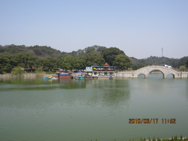 IMG_8906.jpg