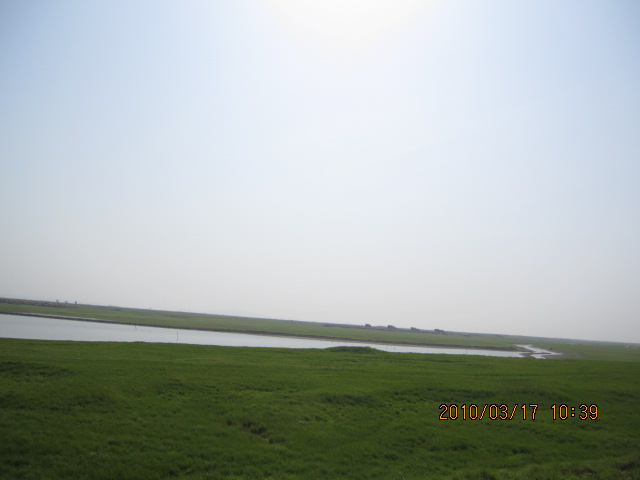 IMG_8707.jpg