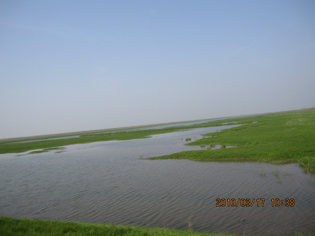 IMG_8700.jpg